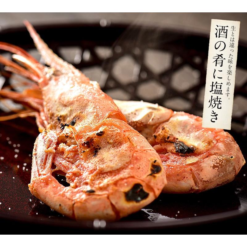 甘エビ 甘えび 子なし 小サイズ 500g（約40〜50尾入り）刺身用 越前産 甘えび 海老 えび エビ 贈り物 お祝い  プレゼント ギフト 冬グルメ 冬ギフト