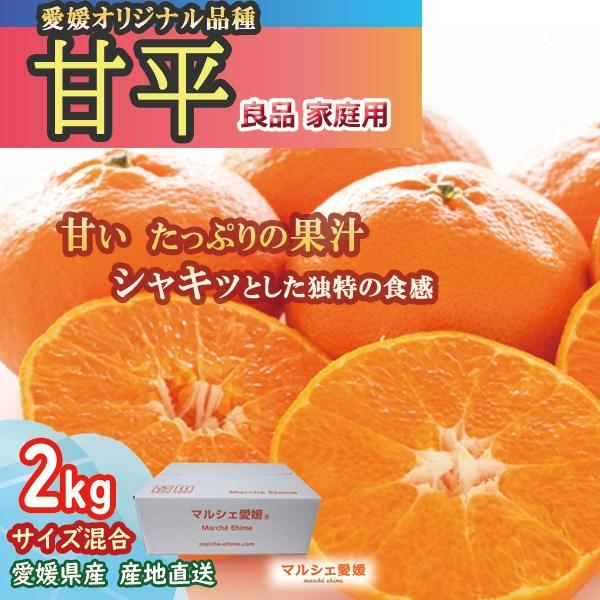 甘平 2kg サイズ混合 良品 家庭用 かんぺい 愛媛 みかん 箱買い お取り寄せ グルメ 一部地域 送料無料