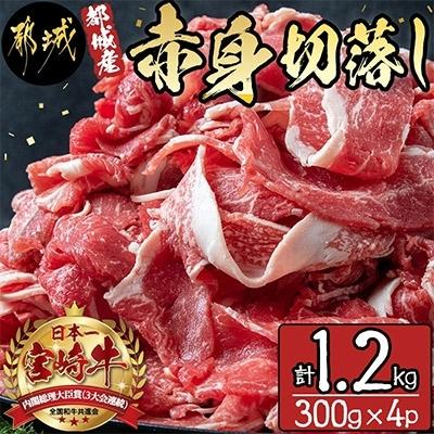 ふるさと納税 都城市 《宮崎牛》赤身切落し1.2kg (300g×4パック)