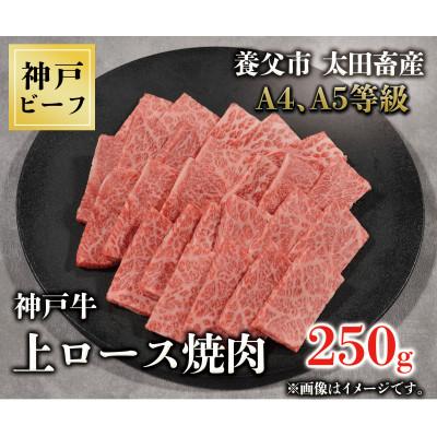 ふるさと納税 養父市 神戸牛　上ロース焼肉　250g