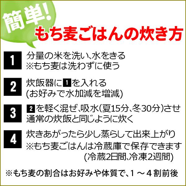 レジスタントスターチ もち麦 大麦 もちむぎ 500g×1袋 βグルカン 送料無料 セール スーパーフード