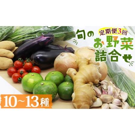 ふるさと納税 定期便3回コース 高知県香南市産 旬のお野菜詰合せ(10〜13品目)  やさい おまかせ セット 土佐野菜 新鮮 高知県 香南市 Wpr-0008 高知県香南市