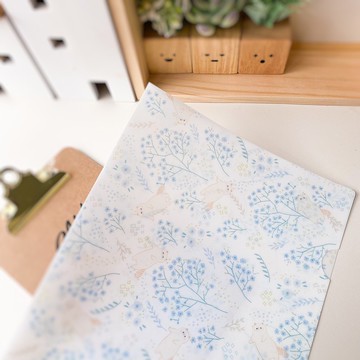 【Hajima Studio】異短貓貓A4膠Folder 資料夾 - Hide & Seek