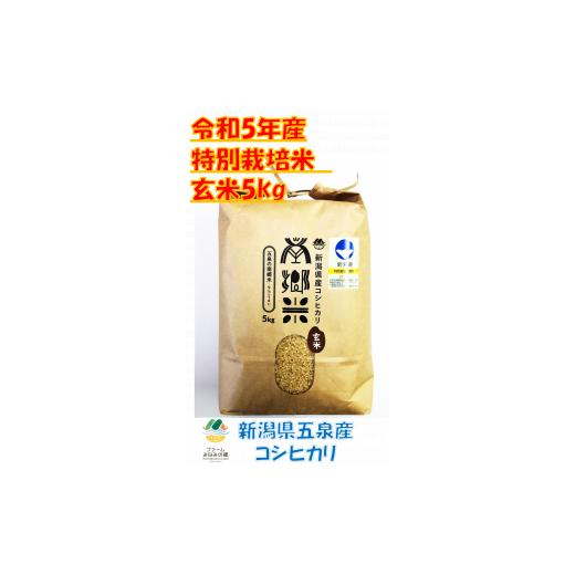 ふるさと納税 新潟県 五泉市 令和5年新米特別栽培米 新潟県五泉産コシヒカリ「南郷米」玄米5kg