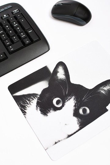 擺著看。滑鼠墊---賓士貓