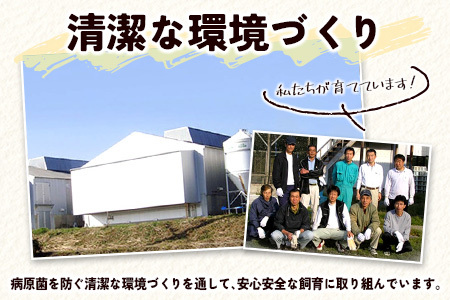 ＜児湯養鶏自慢の卵＞ネッカリッチ赤たまご「児湯一番」 計480個 （20個入×2箱）×12か月定期便