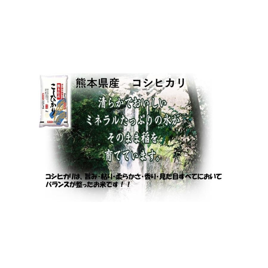 新米　米　お米　１０ｋｇ　（５ｋｇ×２）　くまモン　熊本県産　こしひかり　令和５年産　送料無料