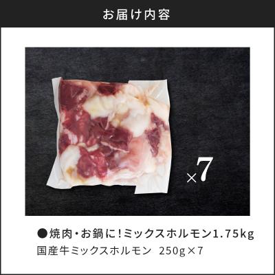 ふるさと納税 鹿児島市 焼肉・お鍋に!ミックスホルモン1.75kg