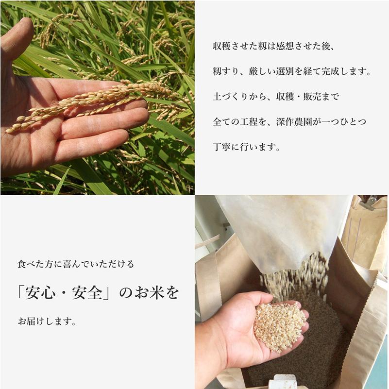 令和5年 新米 日本農業賞大賞 米 白米 お米 コシヒカリ 2kg こしひかり