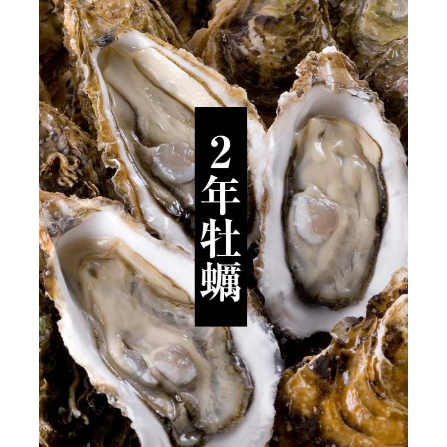 (送料無料)牡蠣のがんがん蒸し 2kg前後（中型）殻付き 生牡蠣 生食 北海道産 カンカン焼き グルメ カキ