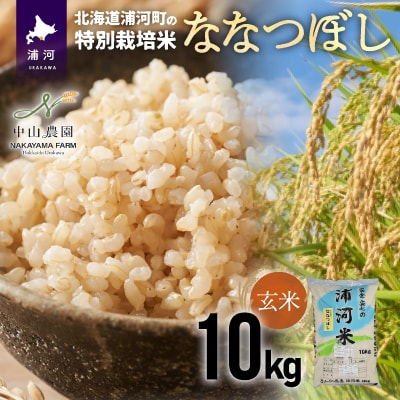 浦河の特別栽培米「ななつぼし」玄米(10kg×1袋)[37-1027]