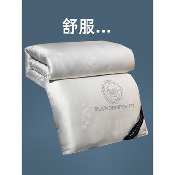 蠶絲被100%桑蠶絲冬被春秋被子母被學生被子夏涼被全棉加厚被芯