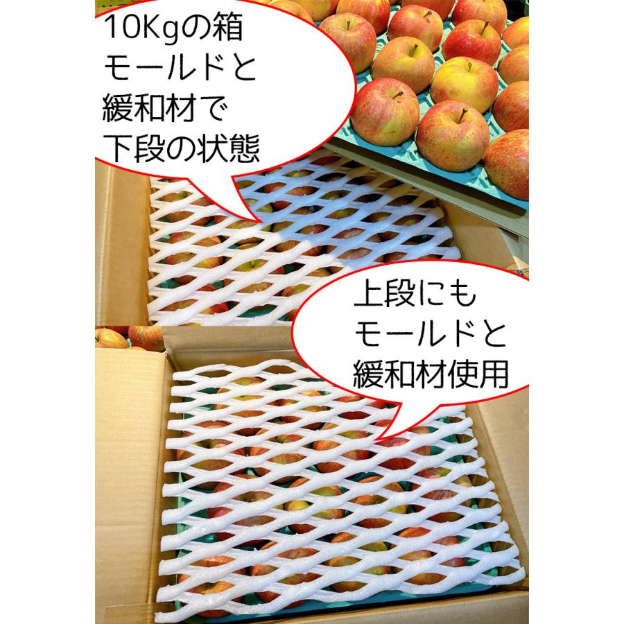 りんご 訳あり 10kg箱 青森県産 サンふじ りんご 10Kg前後 送料無料 糖度保証 りんご 訳あり 約10Kg 予約 11月上旬頃発送