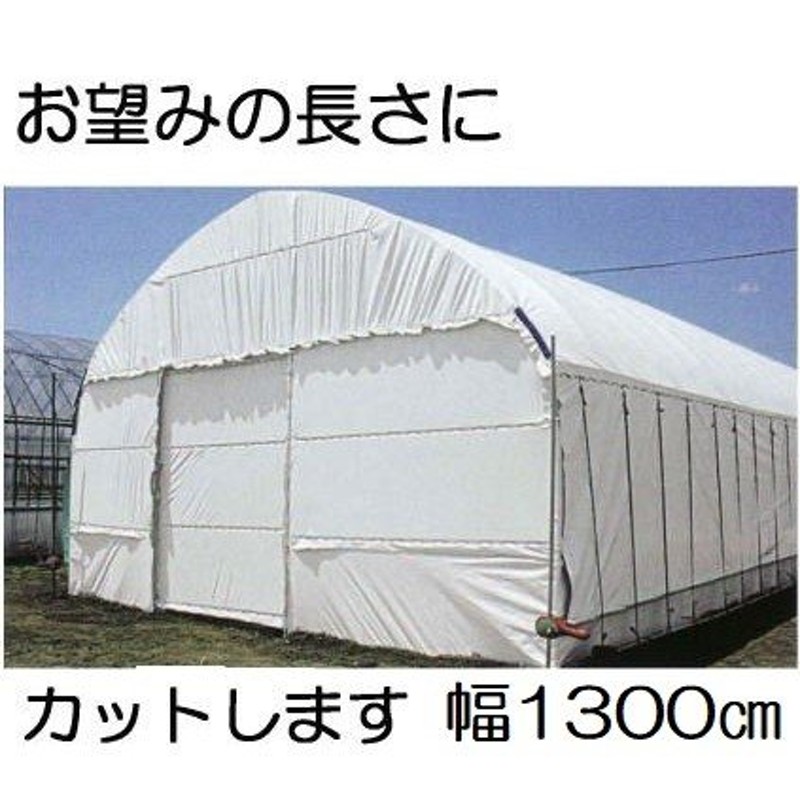 農POフィルム ハクリョク 厚み0.15mm×幅1300cm×長さ30ｍ 重さ約59.7kg 30m価格 両面仕様 （白・緑） 農業用格納庫 倉庫  三菱ケミカルアグリドリーム 通販 LINEポイント最大0.5%GET LINEショッピング