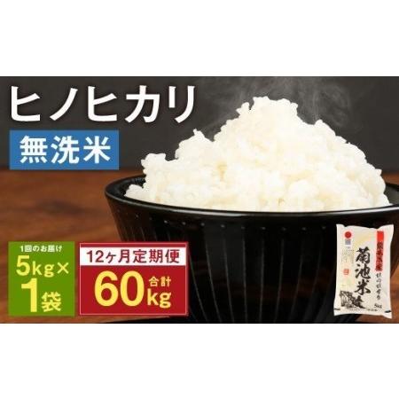 ふるさと納税 熊本県菊池産 ヒノヒカリ 無洗米 計60kg（5kg×12回）精米 お米 白米 熊本県菊池市