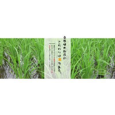 ふるさと納税 津南町 令和4年産　魚沼産こしひかり　5kg×4袋