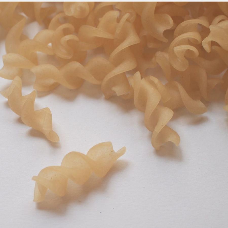 グルテンフリー　フジッリ  150g　パスタ　グルテンフリー　アレルギー食品