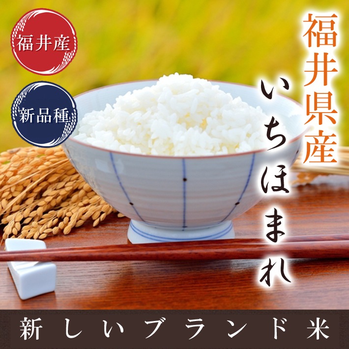 いちほまれ 2kg 福井県令和5年産 送料無料 福井県のブランド米 米食味鑑定士認定米