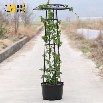 免運 戶外花架 爬藤架 柵欄架 庭院花架 戶外傘形玫瑰爬藤架月季鐵線蓮攀藤薔薇花苗四季花架植物園藝支架特惠/店長優選 全館折扣 售後保障 工廠現貨 開立發票 s5329
