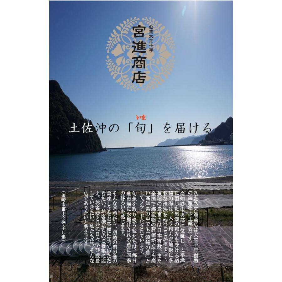 土佐天日干し本からすみ（100g）宮進商店