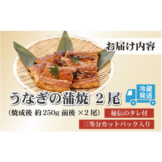 ふるさと納税 福井県 勝山市 血抜きうなぎの蒲焼（無頭）焼成後250g前後×2尾 国産 [B-044001]