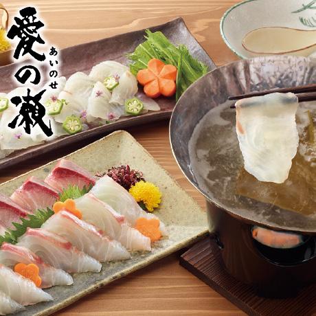 お歳暮 ギフト 送料無料 愛媛県産　愛の瀬愛南ゴールド真鯛