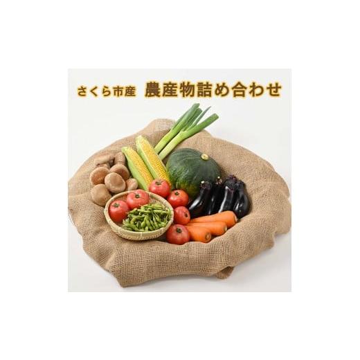 ふるさと納税 栃木県 さくら市 さくら市産の農産物詰め合わせ≪野菜 新鮮 国産 栃木県≫