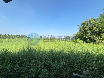 鹽埔上洛陽阿撒力方正農地｜屏東縣鹽埔鄉上洛陽段