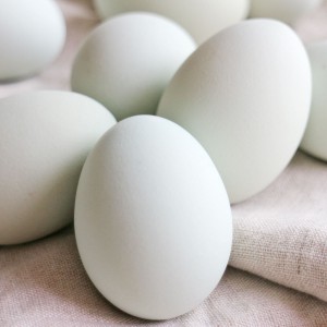 インカの卵 20個 詰合せ 愛媛 卵 愛媛県産 常温 鶏卵 国産 イヨエッグ