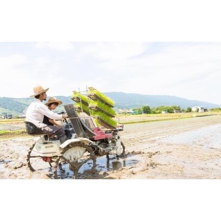 ふるさと納税 P439-02 ぶんぶんファーム 自然栽培 ひのひかり 玄米 2kg 福岡県うきは市