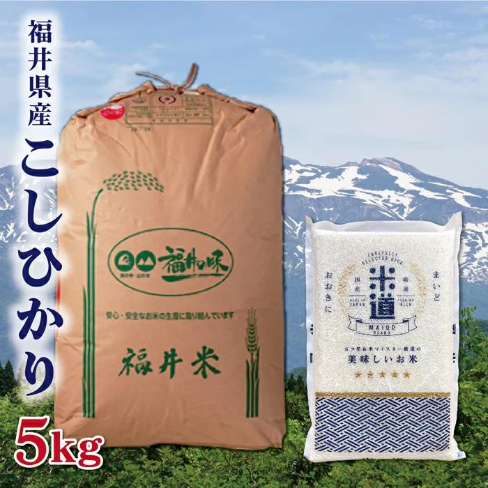 米 5kg 送料無料 白米 無洗米 こしひかり  令和三年産 福井県産 5キロ お米 玄米 ごはん単一原料米 保存食 米 真空パック 保存米