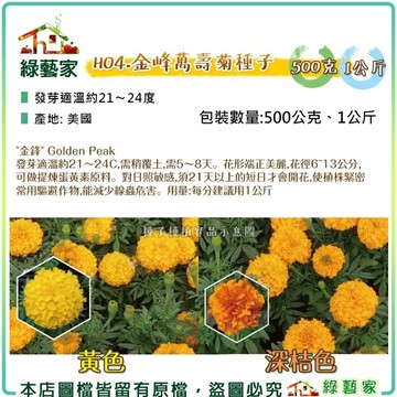 【綠藝家】金峰萬壽菊種子500克、1公斤-花海用優惠價(美化綠化環境作物)