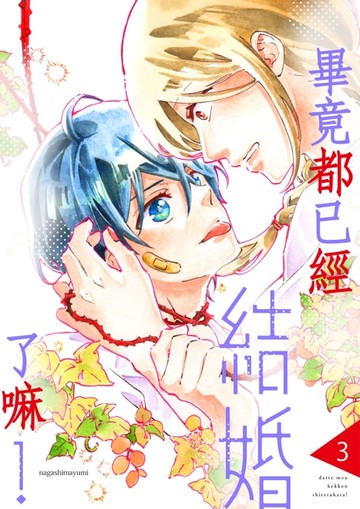 【電子書】畢竟都已經結婚了嘛！(第3話)