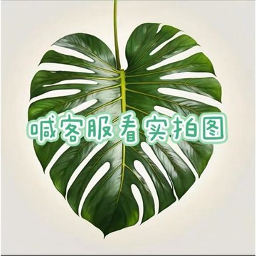 新款植物葉子擦手巾可掛式珊瑚絨家用廚房衛生間加厚吸水清潔毛巾