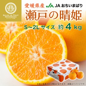 [予約 2023年12月1日-1月15日の納品] 瀬戸の晴姫 約4kg 愛媛県産 はれひめ 晴姫 みかん JA越智今治 蜜柑 柑橘  冬ギフト お歳暮 御歳暮