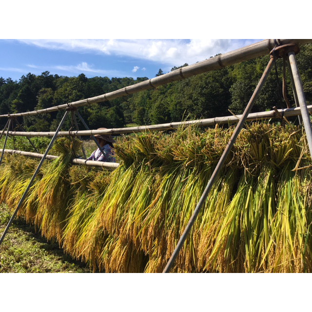 自然耕房あおき 自然そのままに育った野菜と天日干し米のギフト