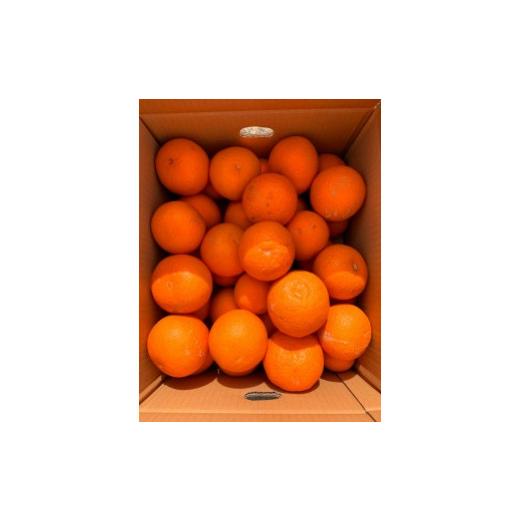 ふるさと納税 和歌山県 九度山町 紀州有田産清見オレンジ　7.5kg