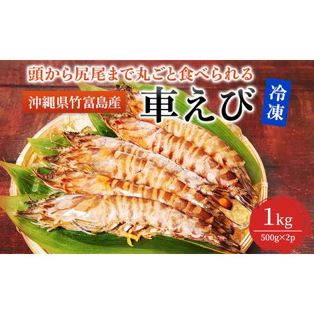 ふるさと納税 2024年 先行予約 車えび 1kg 竹富島産 冷凍 エビ 沖縄県竹富町