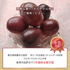 3年連続品評会で金賞受賞！パッションフルーツ家庭用2.5kg