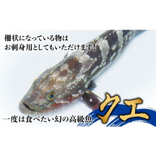 ふるさと納税 長崎県 五島市 五島産 養殖 クエ鍋 セット 4人前  五島うどん付 海鮮 魚介 高級 五島市／五島ヤマフ [PAK002]