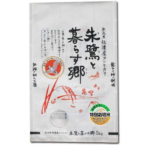 新潟県佐渡市 特別栽培米 コシヒカリ 「朱鷺と暮らす郷」 白米5kg 令和5年産