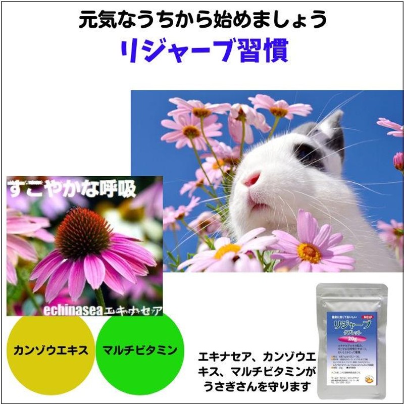 うさぎファンクラブ スナッフル予防 リジャーブタブレット10g 牧草