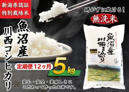 無洗米　魚沼産川西こしひかり５kg　　令和５年度米