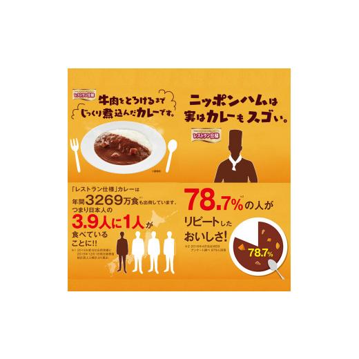 ふるさと納税 長崎県 諫早市 日本ハムレストラン仕様カレー辛口10袋セット(40個入り)