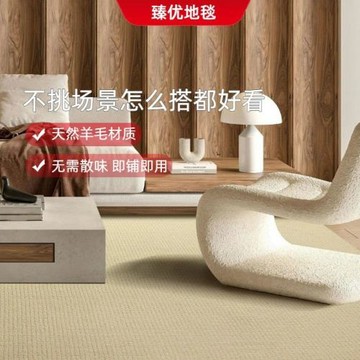 高低圈絨肌理極簡素色羊毛地毯客廳臥室經典百搭奶油風羊毛地毯