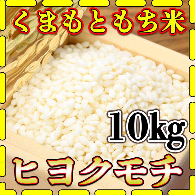 お米 米 10kg もち白米 熊本県産 ヒヨクモチ あすつく 新米 令和5年産 5kg2個 くまもとのお米 富田商店 とみた商店