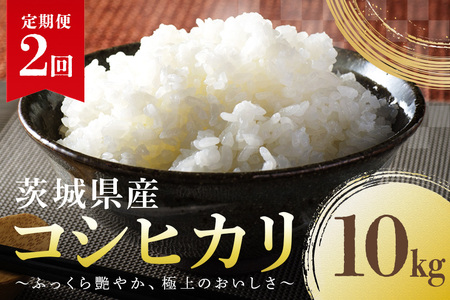 定期便2回 コシヒカリ 10kg こしひかり 米 白米 茨城県産 新米 お弁当 おにぎり 47-F