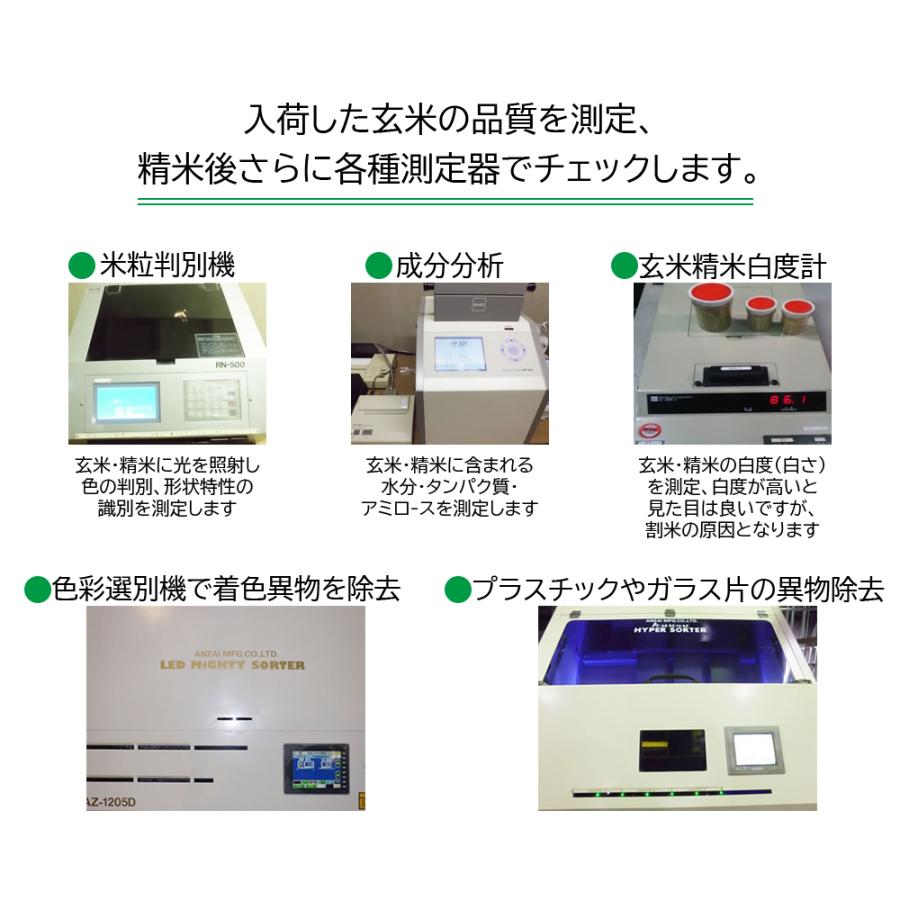 元気つくし 金のめし丸マーク付 福岡県産 10kg(5kg×2) 精米 令和5年産・新米