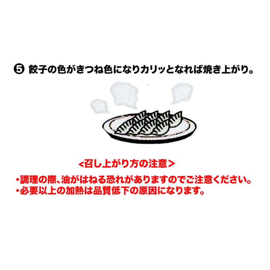 宇都宮餃子会加盟店 宇都宮ねぎにら餃子＆日光しもつかれ餃子 2種 2箱セット 44個入 FN046