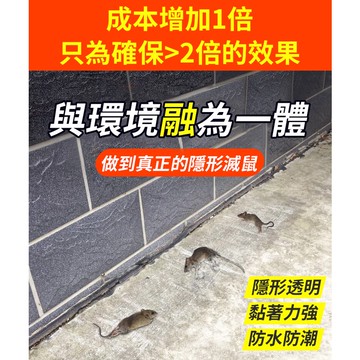 透明版滅鼠長魔毯 【買十送一 臺灣現貨】進口膠水 粘鼠貼 滅鼠 黏鼠板 老鼠板 捕老鼠 補鼠貼 抓老鼠 老鼠貼 老鼠神器
